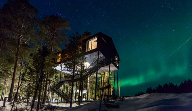 Una casa sull'albero nella foresta per ammirare l'Aurora boreale