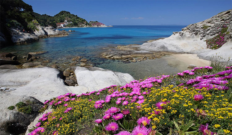 viaggio nel mondo animale Isola-Elba