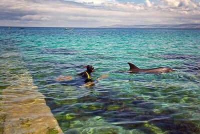 uomini-e-delfini-interagiscono-Dolphins-on-the-Wild-Atlantic-Way