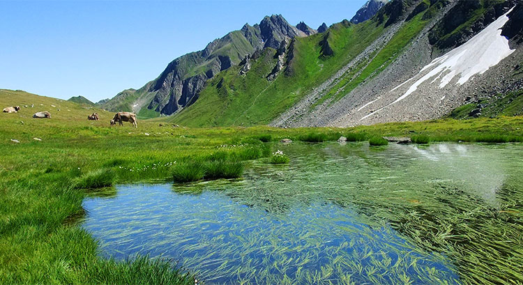 Val-Formazza-estate