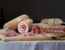 Salumi piacentini DOP (credit Visit Emilia)