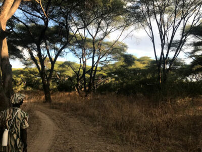 Safari a piedi nei Parchi nazionali dello Zambia