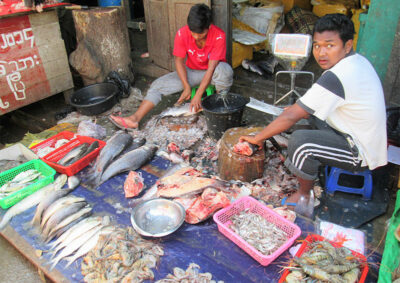 Birmania Mercato-del-pesce