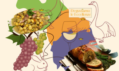 Marche Experience dalla-vigna alla tavola