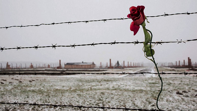 27 gennaio giorno della memoria Auschwitz