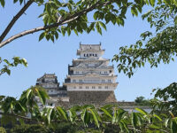 Castello di Himeji chiamato airone bianco (ph. b. andreani © mondointasca.it)