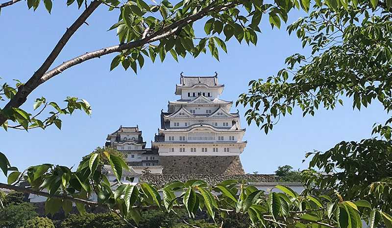 Giappone Castello-di-Himeji-airone-bianco
