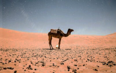 Per fortuna ci siamo persi