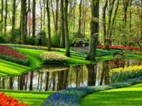 Parco giardino di keukenhof (crediti Amsterdam.info)