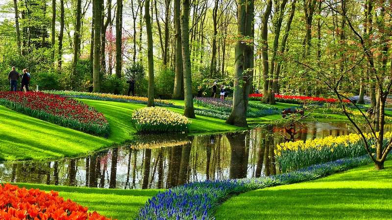 Giardini in fiore Parco giardino di keukenhof crediti Amsterdam.info