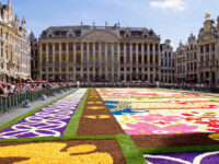 Bruxelles, la Grand Place ricoperta da Tapis de Fleurs dell'ultima edizione