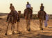 A dorso di cammello nel deserto verso la città del futuro