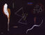 Vassilij Kandinskij: Tre triangoli, 1938, disegno a tempera. Ca' Pesaro- Galleria Internazionale d'Arte Moderna, lascito Lidia De Lisi Usigli, 1961