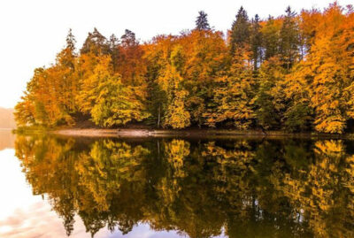Polonia autunno dorato foliage
