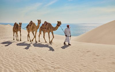 Cammelli nel deserto Mare Interno (QatarTourism)