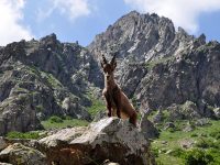 Cicloturismo: percorsi Gravel nelle valli Seriana e Scalve