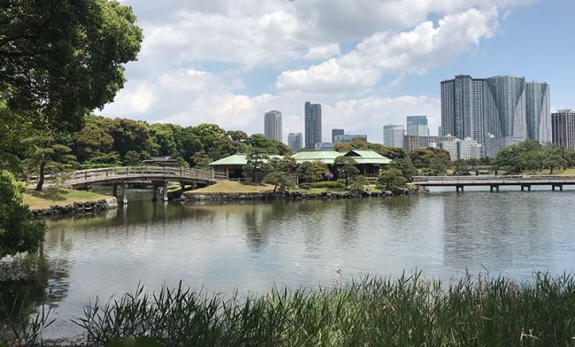 Tōkyō, giardino di Hama Rikyu con vista dei grattacieli (ph. b. andreani ©mondointasca.it)