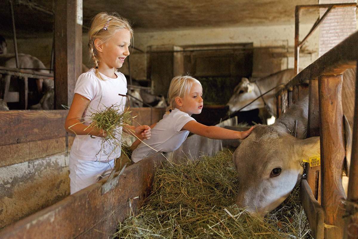 Masi Gallo Rosso bambini e animali (©Gallo Rosso Frieder Blickle)