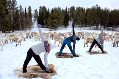 Visit Finland yoga con le renne