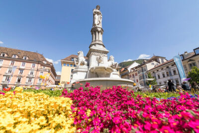 Fioriture di primavera Bolzano Primavera