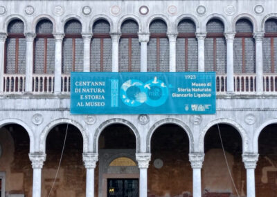 Venezia Museo Storia Naturale Ligabue