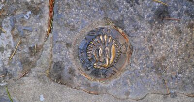Borchia di metallo segnala la presenza sul pavimento di un fossile (ph. © emilio dati – mondointasca)