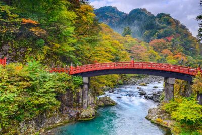 foliage Giappone Nikko
