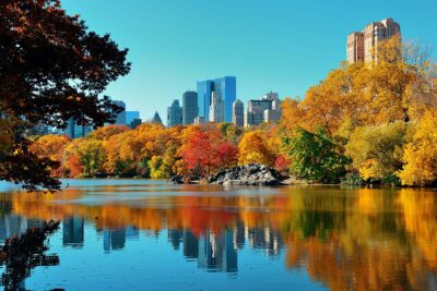 New York foliage Central Park