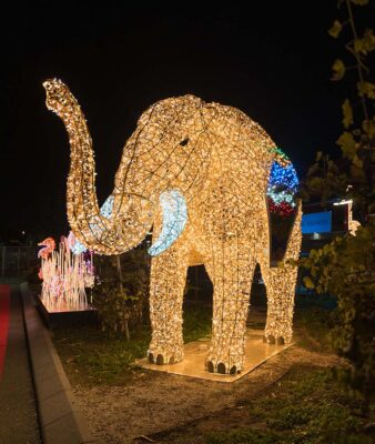 Fico Bologna Zoo di luci elefante