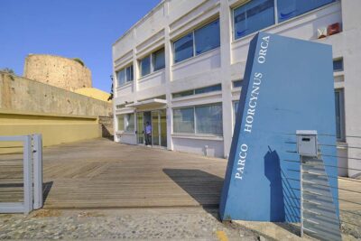 MACHO - Museo d'Arte Contemporanea Horcynus Orca e Torre degli inglesi
