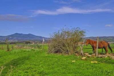 La Valle dei Cavalli, sullo sfondo il Vulture Basilicata con gusto 3