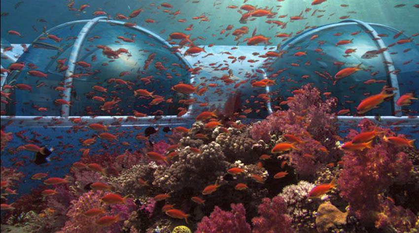 Alloggi originali Poseidon Undersea resort, isole Fiji