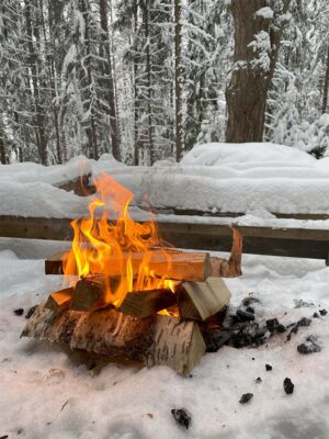 Iloranta Farm campfire