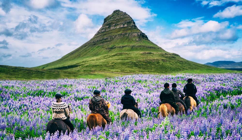 Islanda tour a cavallo sondaggio 