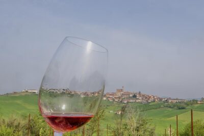 Monferrato colline Vigneti Nocciole Distillati