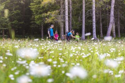 Family Festival trekking nella natura Dolomiti Paganella
