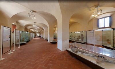 Isola d'Elba Museo archeologico della Linguella
