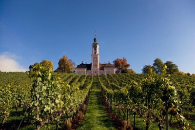 Bodensee Lago di Costanza vigneti chiesa del monastero di Birnau