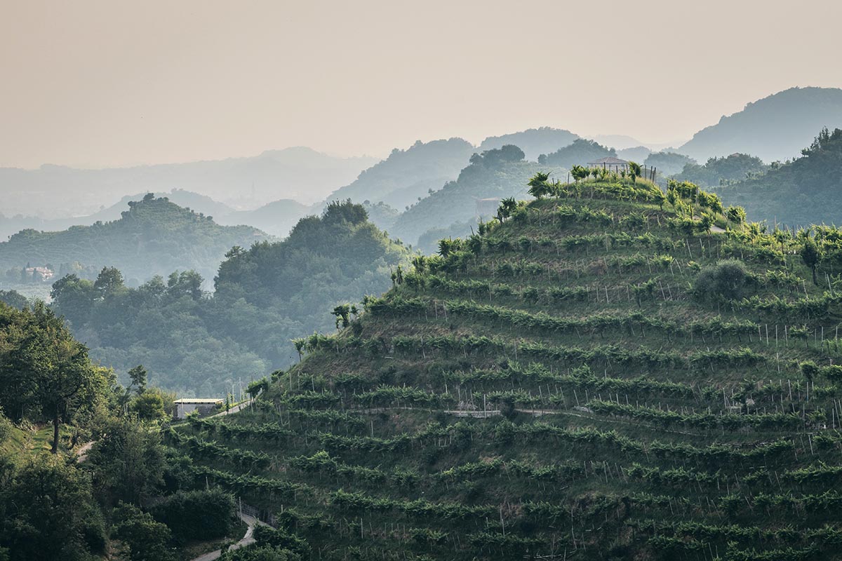 Prosecco superiore Valdobbiadene vigneti eroici La Farra Pieve di Soligo