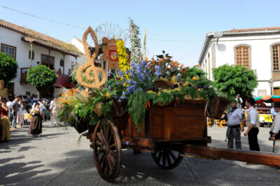 Spagna Canarie festa della vendemmia