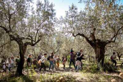 Gusto e sapori Passeggiate tra ulivi_Frantoi Aperti in Umbria