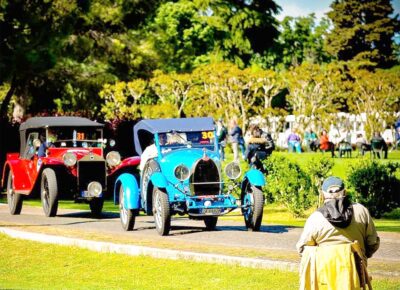 viaggio nel tempo Valeggio sul Mincio Parco Giardino Sigurtà