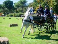 viaggio nel tempo 2023 - Parco Giardino Sigurtà Valeggio sul Mincio