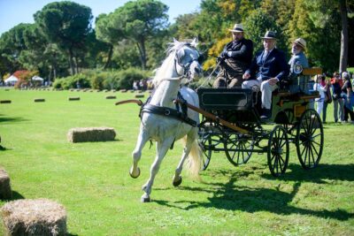 viaggio nel tempo 2023 - Parco Giardino Sigurtà Valeggio sul Mincio