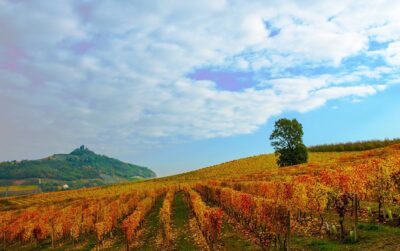 Barbera Fish Festival 2024 vigneti Asti Piemonte