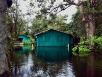 Cambiamento climatico Amazzonia siccità alluvioni