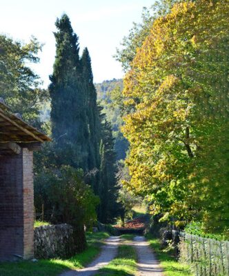 Cammini autunno-sentiero foliage