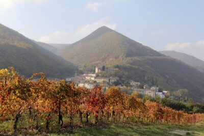 Marche - Macerata - Serrapetrona Appassimenti aperti