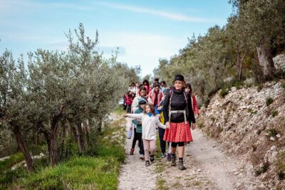 Passeggiata tra gli ulivi