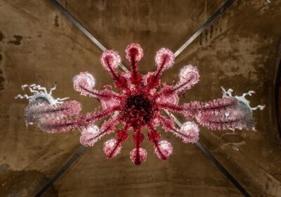 Venezia Piazza San Marco Murano illumina il mondo